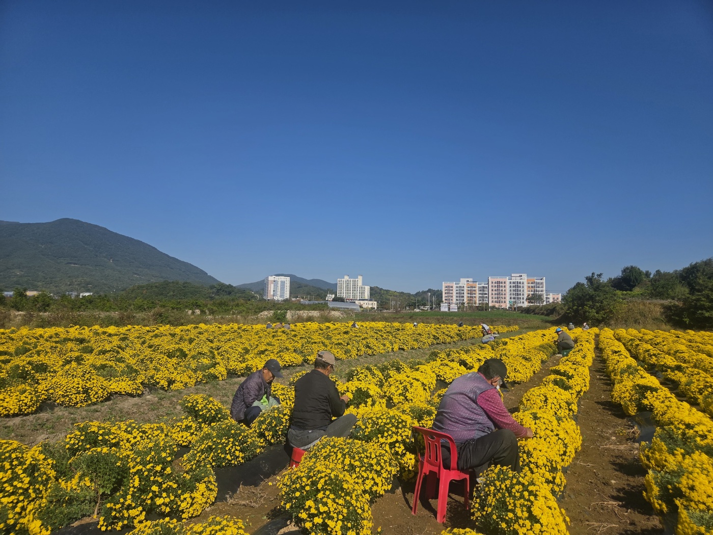 산청 뉴스 대표 이미지