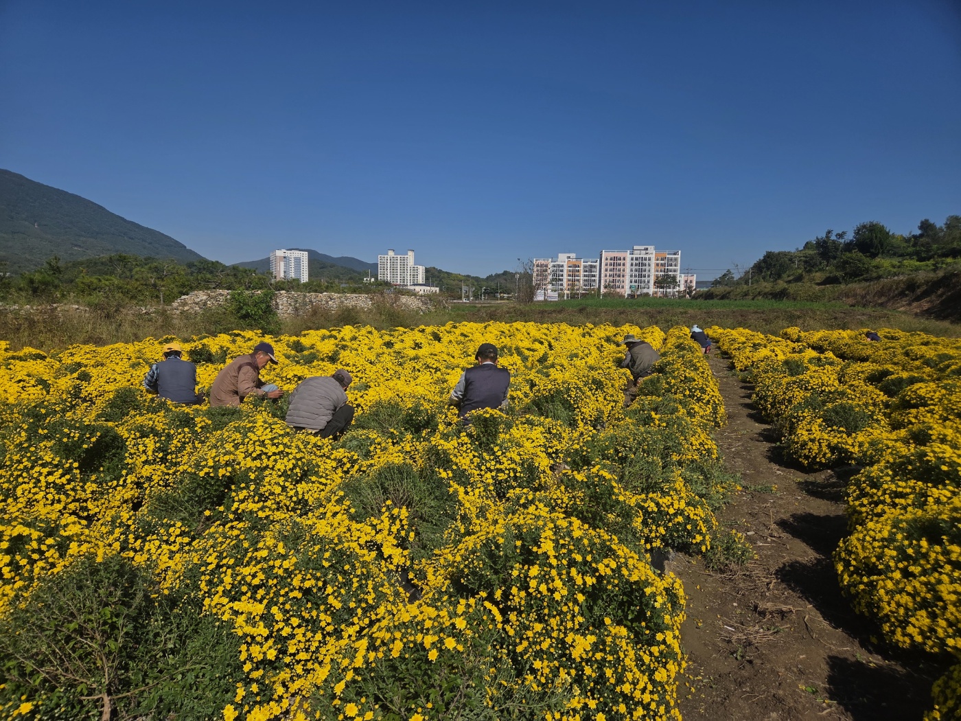 산청지역자활센터, 자활 생산품 경쟁력 높인다